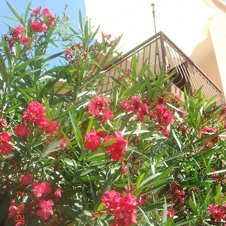 Apartment Renata *
